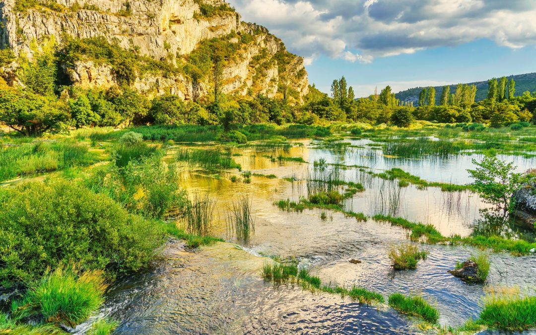  💦An Invitation to Come Alive in the River of God!💦